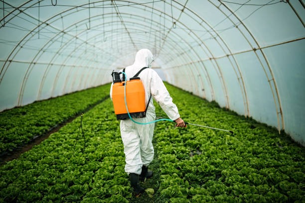 Best Pest Inspection Near Me  in Central, SC