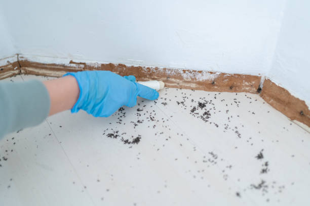 Pest Control Cost in Central, SC