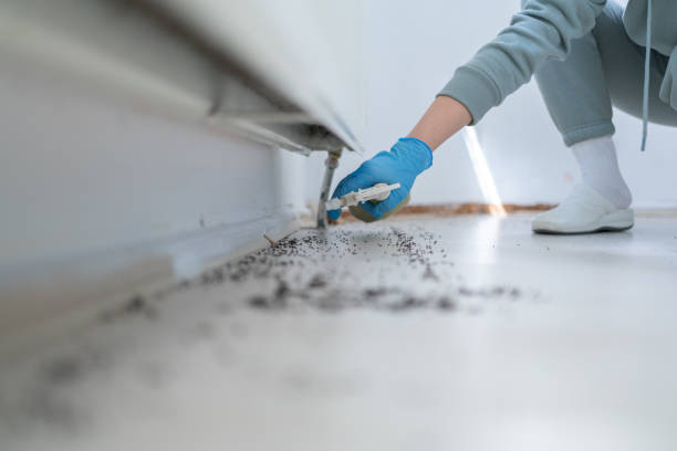 Best Commercial Pest Control Services  in Central, SC